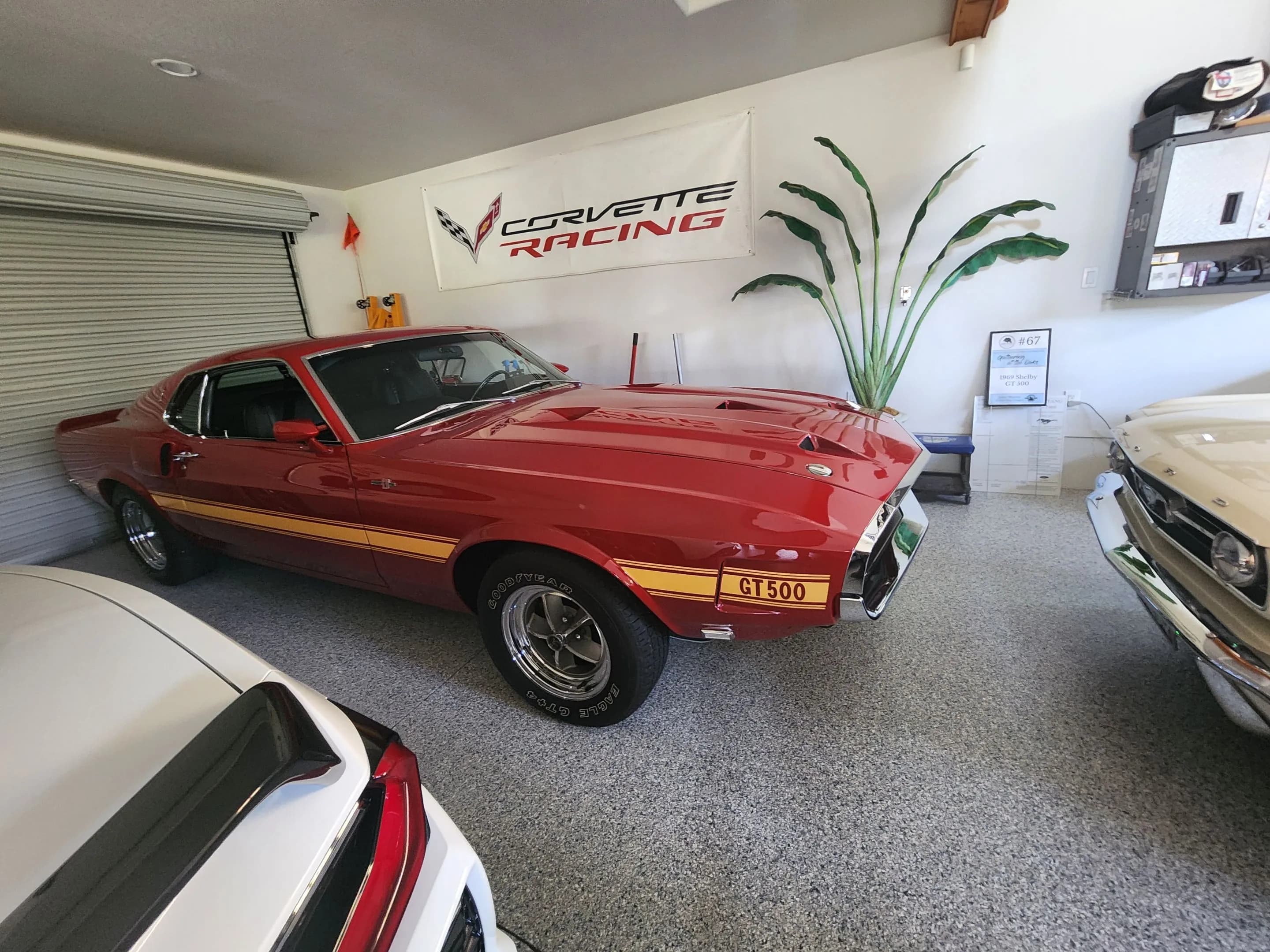Classic Shelby GT500 on professional garage floor coating