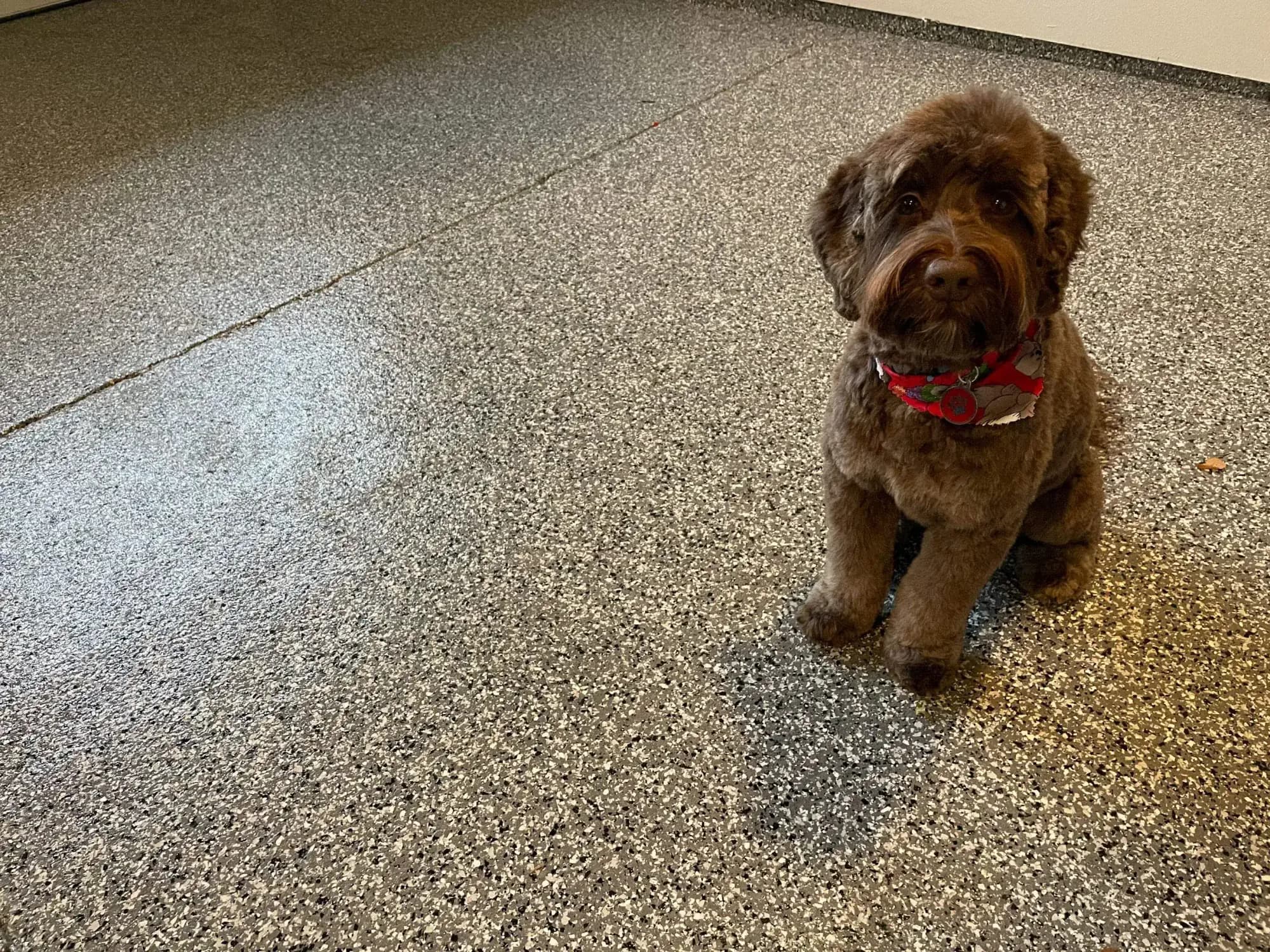 Heritage Coatings professional garage floor installation